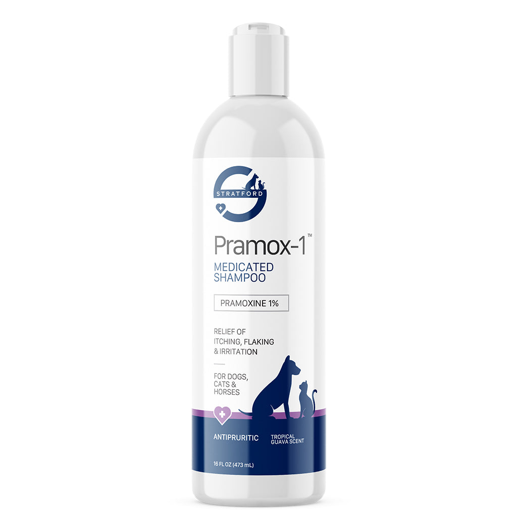 Pramox1 ItchRelief Medicated Shampoo for Dogs, Cats & Horses