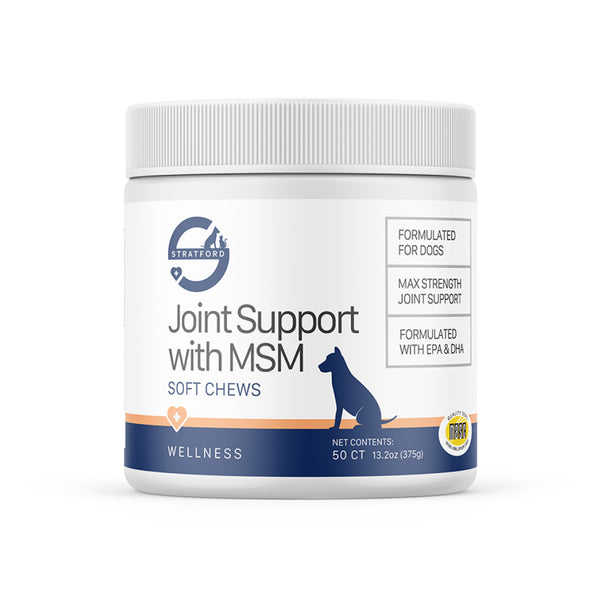 Stratford Joint Support with MSM for Dogs (50 soft chews)