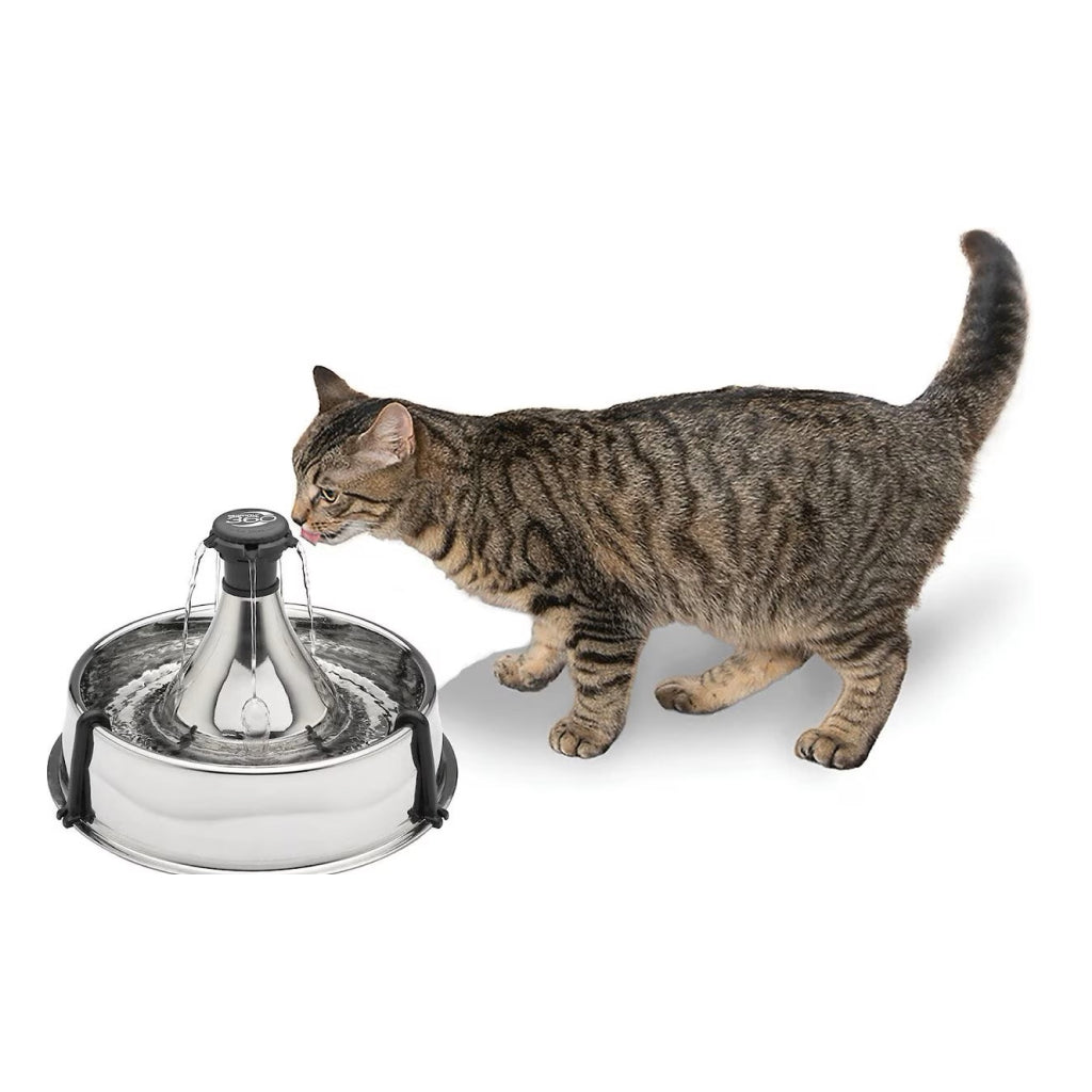 Drinkwell Stainless Steel 360 Water Fountain For Dogs & Cats (128 oz)