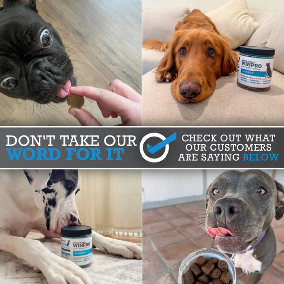WINPRO Dog Allergy Relief (60 Chews)