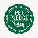 Nutro Crunchy Biscuits with Real Peanut Butter Treats For Dog