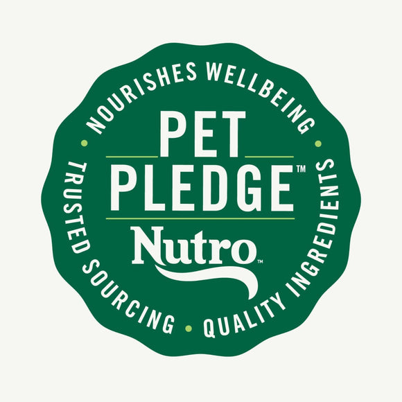 Nutro Crunchy Biscuits with Real Peanut Butter Treats For Dog