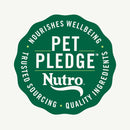 Nutro Crunchy Biscuits with Real Apple Treats For Dog