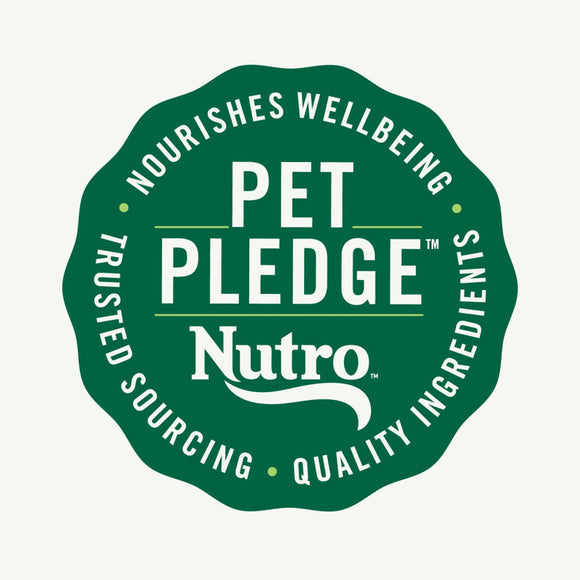 Nutro Crunchy Biscuits with Real Apple Treats For Dog