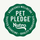 Nutro Crunchy Biscuits with Real Mixed Berries Treats For Dog