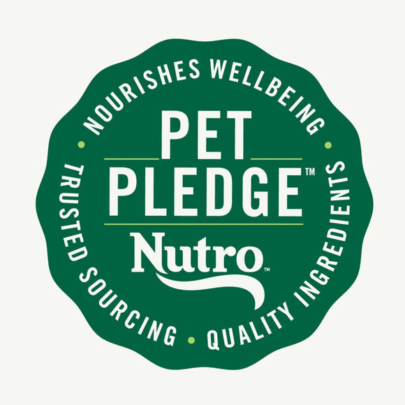 Nutro Crunchy Biscuits with Real Mixed Berries Treats For Dog