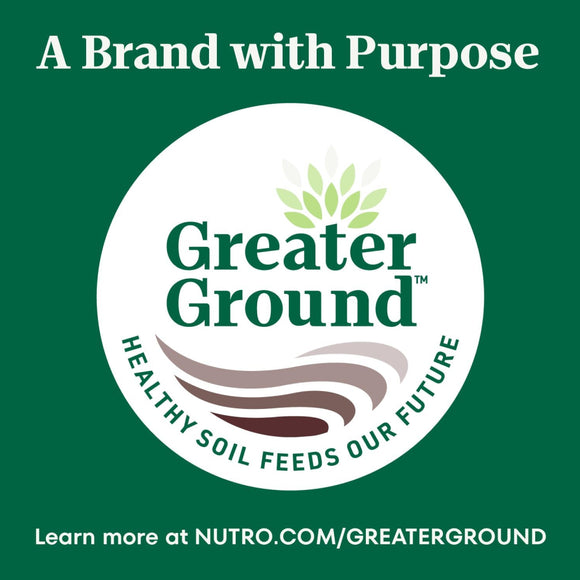 Nutro Crunchy Biscuits with Real Apple Treats For Dog