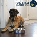 OurPets Premium Stainless Steel Rubber-Bonded Bowl For Dog