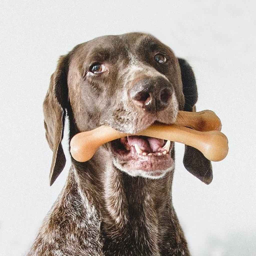 Benebone Rotisserie Chicken Flavor Wishbone Durable Chew Toy for Dogs