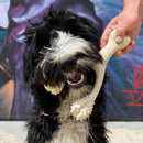 BetterBone Soft Density Beef Flavor Chew Toy For Dog