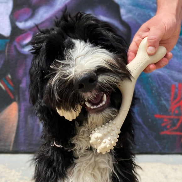 BetterBone Soft Density Beef Flavor Chew Toy For Dog