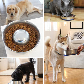 OurPets Premium Stainless Steel Rubber-Bonded Bowl For Dog