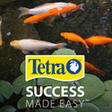 Tetra Color Enhancing Koi Vibrance Sticks