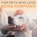 SPA by TropiClean Lavish Renew Shampoo Pets (16oz)