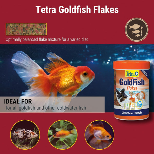 Tetra TetraFin Goldfish Flakes Fish Food