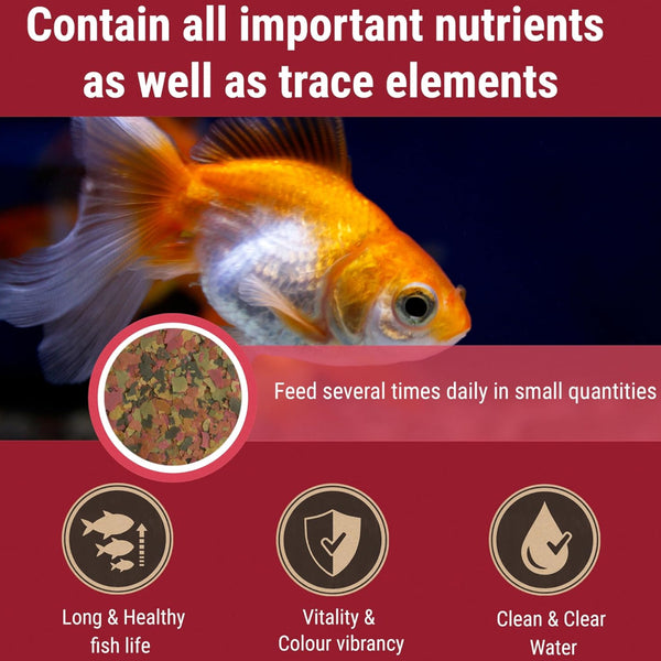 Tetra TetraFin Goldfish Flakes Fish Food