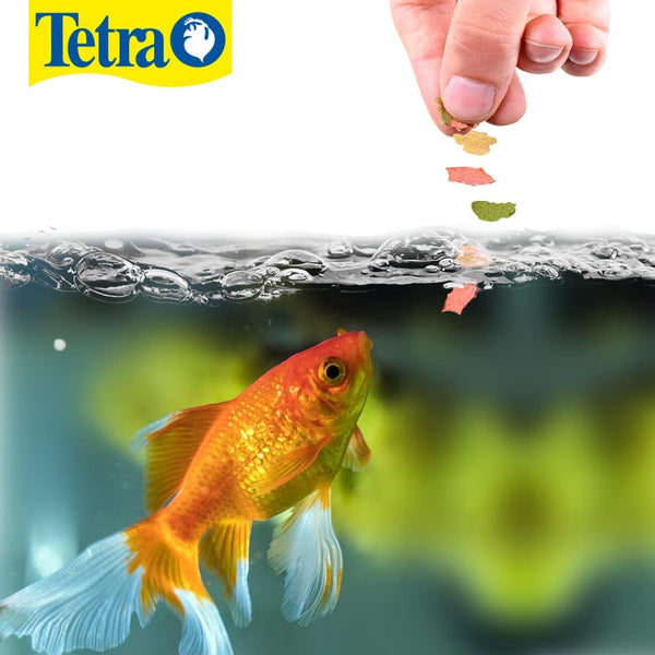 Tetra TetraFin Goldfish Flakes Fish Food