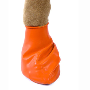 Pawz Boots For Dog (X Small)