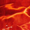 Native Pet Wild-Caught Alaskan Sockeye Salmon Oil for Dogs (8 oz)