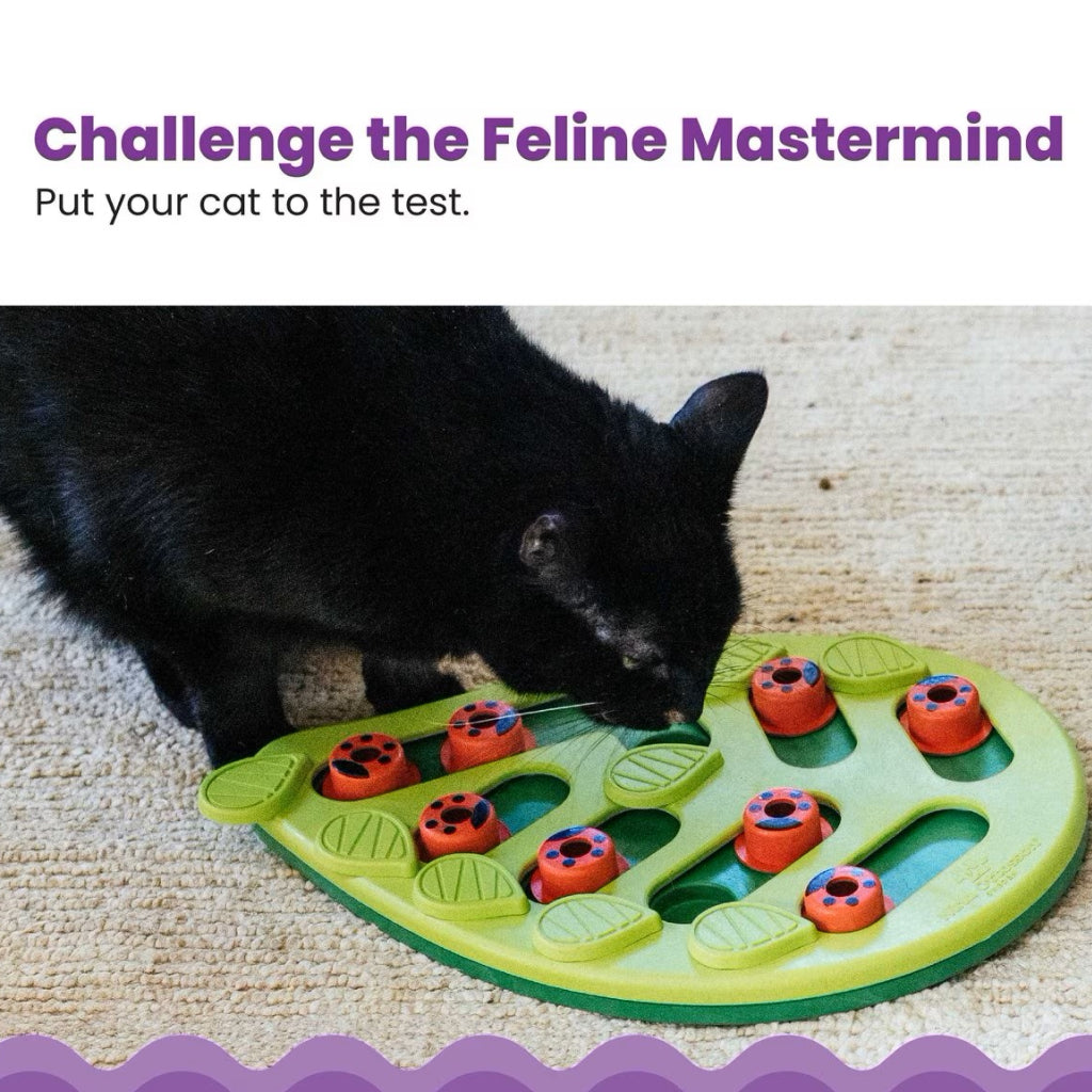 Outward Hound Nina Ottosson  Buggin' Out Puzzle & Play Interactive Treat Puzzle For Cat