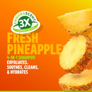 TropiClean EnduraScent Pineapple 4-in-1 Itch Relief Shampoo for Dogs & Cats (20 oz)