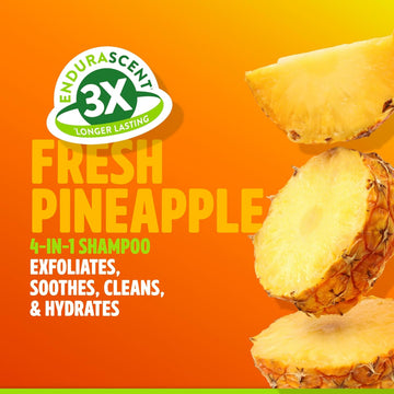 TropiClean EnduraScent Pineapple 4-in-1 Itch Relief Shampoo for Dogs & Cats (20 oz)