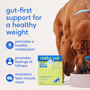 Native Pet Gutwell Trim Down, Weight Management & Metabolic Supplement for Dogs (60 scoops)