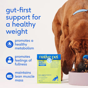 Native Pet Gutwell Trim Down, Weight Management & Metabolic Supplement for Dogs (60 scoops)