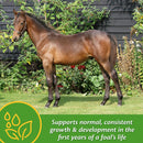 Farnam Grow Colt Growth & Development Supplement