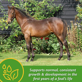 Farnam Grow Colt Growth & Development Supplement
