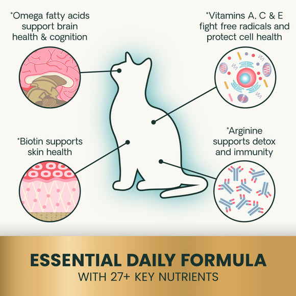 27+ Active Health Tablets for Cats