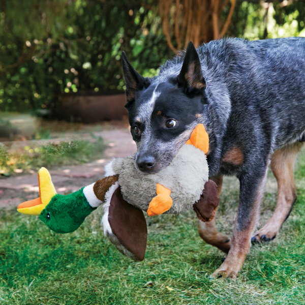 Kong Shakers Honkers Turkey Toy For Dog (Large)