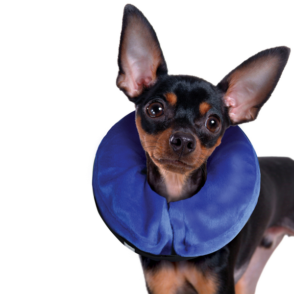 Kong Cloud Inflatable E-Collar For Dogs & Cats -Small