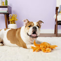 Jolly Pet Tug-a-Mals Crab Toy For Dog