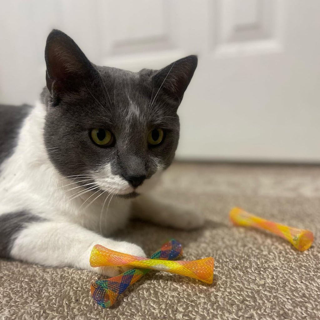 Ethical Kitty Fun Tubes Toy For Cat (3.25")