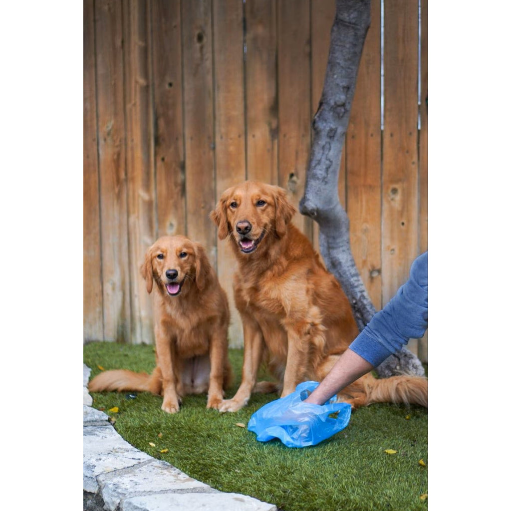 Four Paws Odor Control Dog Waste Bags - Heavy Duty, Fragrance-Free