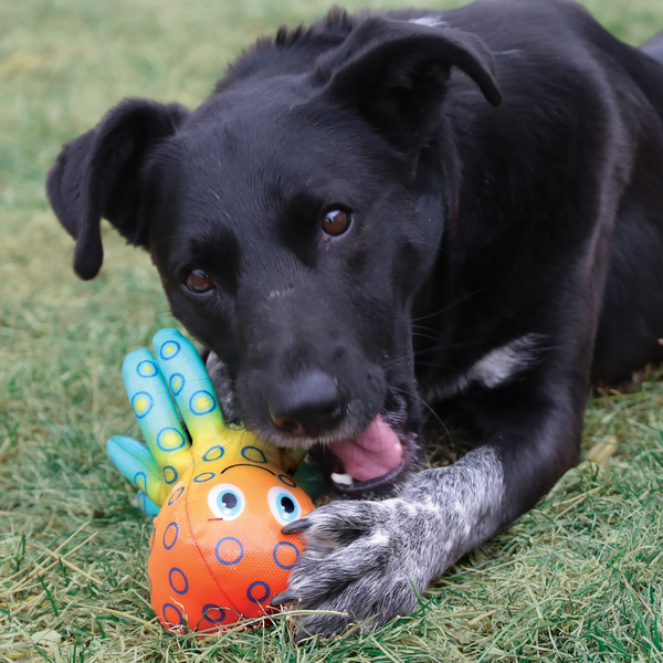 Kong Shieldz Tropics Gecko Toy For Dog