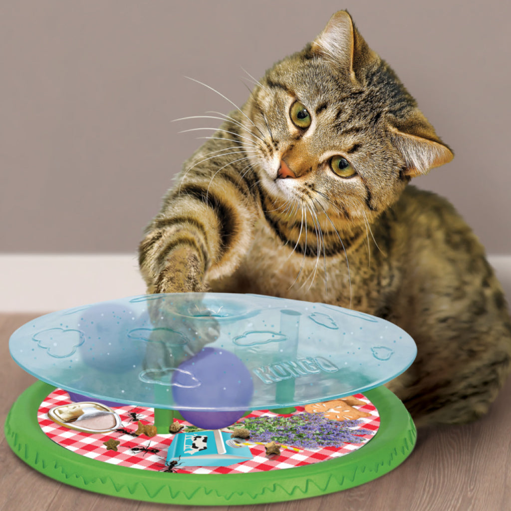 Kogn Rewards Picnic Treat Dispenser For Cat