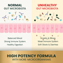 Extra Strength Gut Health Capsules for Dogs