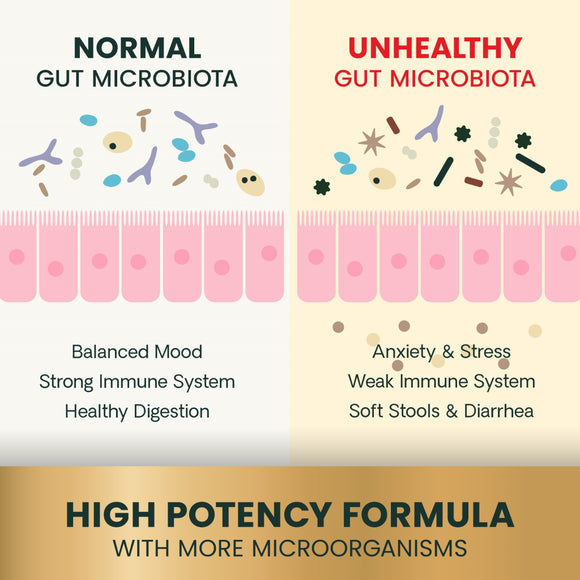 Extra Strength Gut Health Capsules for Dogs