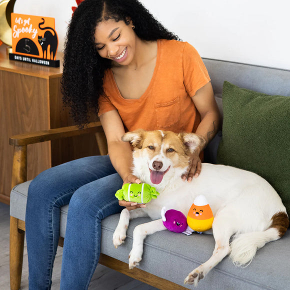 Pearhead Trick Or Treat Toys For Dog (3 pack)