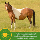 Farnam Mare Plus Gestation & Lactation Supplement