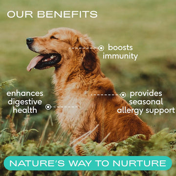 Native Pet Colostrum Immune System Powder Supplement For Dogs (2.2 oz)