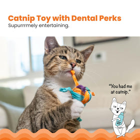Catstages Tons of Tails Dental Toy For Cat with Catnip (Assorted Colors)