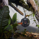 Zoo Med Paludarium Aquarium Heater