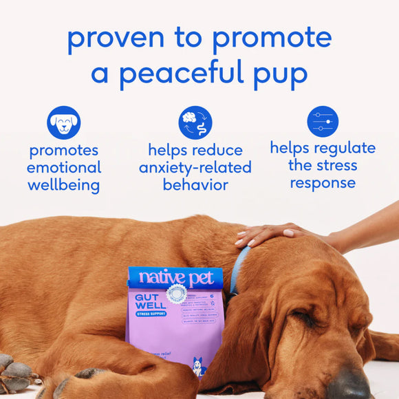 Native Pet Gutwell Stress Support, Stress Relief & Calming Supplement for Dogs (60 scoops)