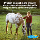 Farnam PyrantelCare Daily Dewormer Pellets for Horses (10 lb)
