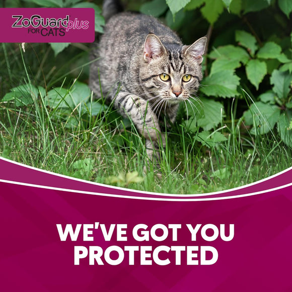 ZoGuard Plus Topical Flea & Tick Prevention for Cats Over 1.5 lbs