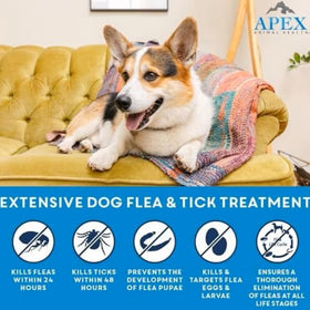 Apex Plus Topical Flea & Tick Prevention for Dogs 23-44 lbs (3 doses)