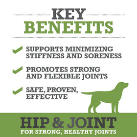 WINPRO Dog Hip & Joint (60 Chews)